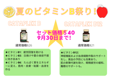 【夏のビタミンB祭り！サプリメントキャンペーンのお知らせ】